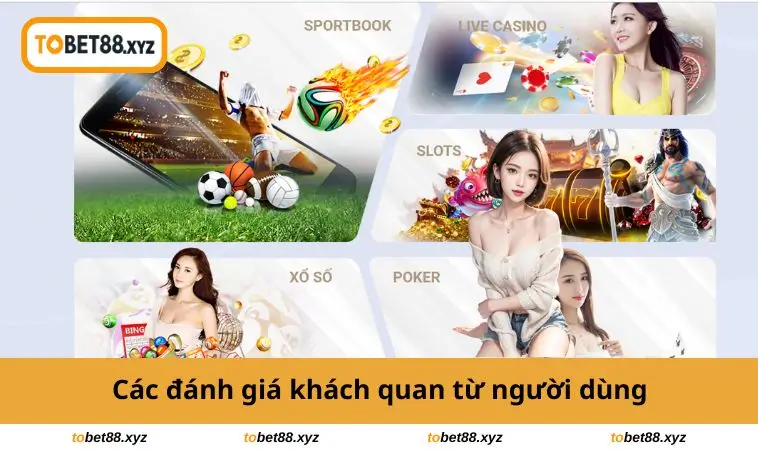 Đánh giá từ người dùng