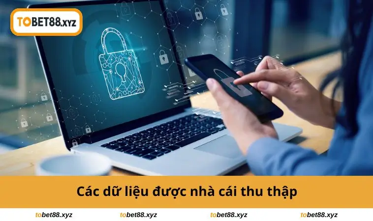 Dữ liệu nhà cái thu thập