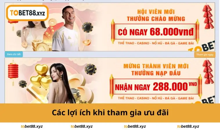 Các lợi ích khi tham gia 