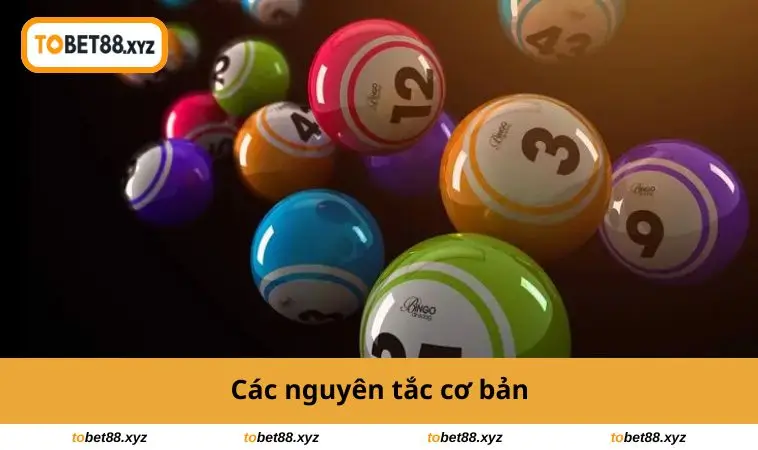 Các nguyên tắc cơ bản