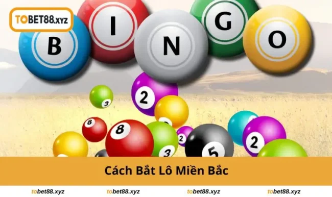 cach-bat-lo-mien-bac