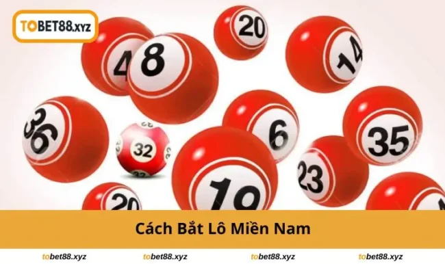 cach-bat-lo-mien-nam