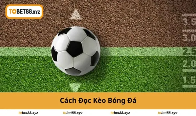 cach-doc-keo-bong-da