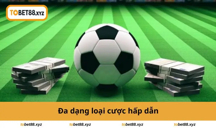 Đa dạng loại cược hấp dẫn