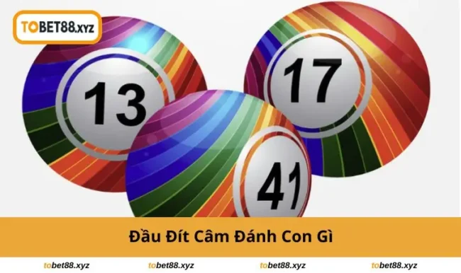 dau-dit-cam-danh-con-gi