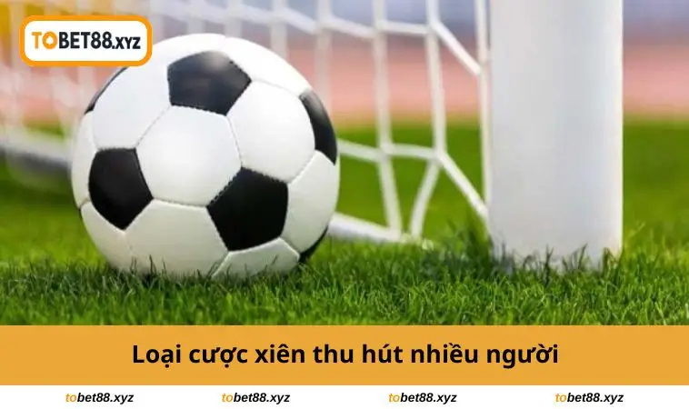 Loại cược xiên thu hút nhiều người