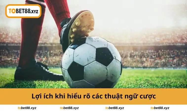 Lợi ích khi hiểu rõ các thuật ngữ cược