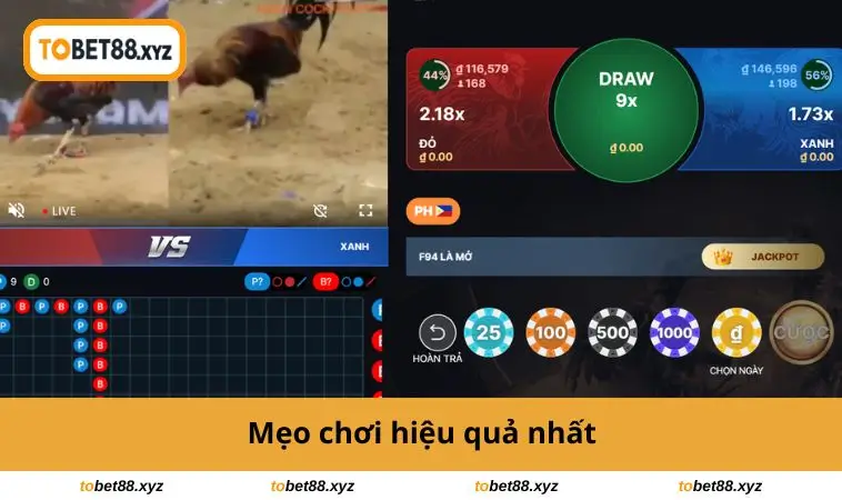 Mẹo chơi hiệu quả nhất