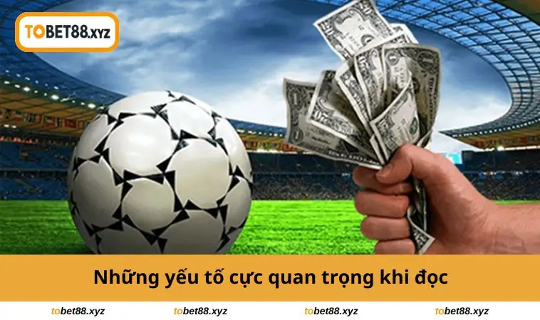 Những yếu tố cực quan trọng khi đọc