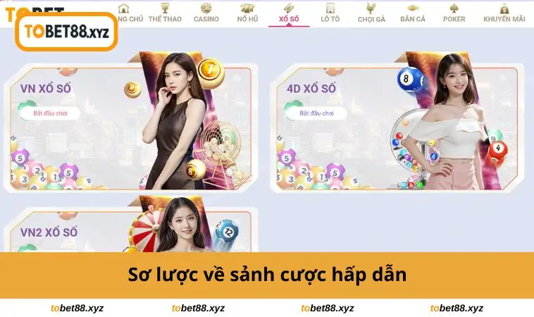 Sơ lược về sảnh cược hấp dẫn
