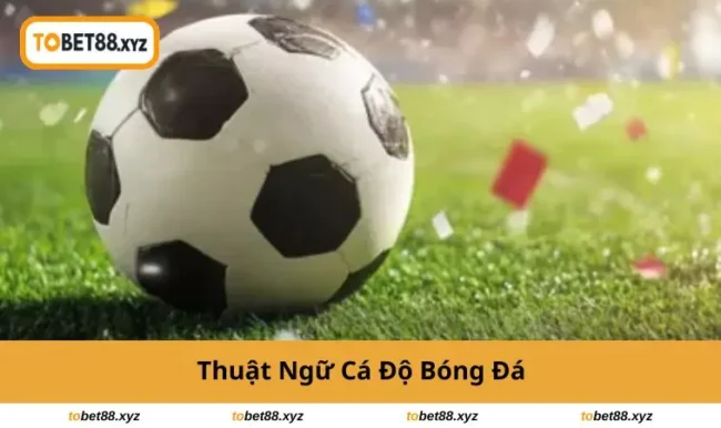 thuat-ngu-ca-do-bong-da
