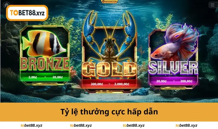 Tỷ lệ thưởng cực hấp dẫn 